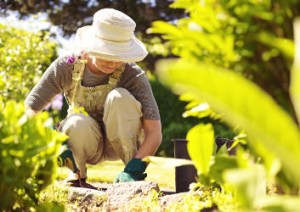 Frau arbeitet kniend im Garten