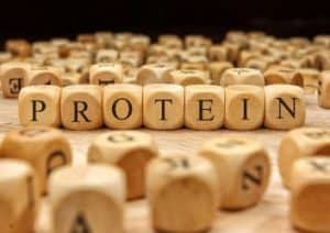 Bausteine stellen eine Aminosäurenkette dar.