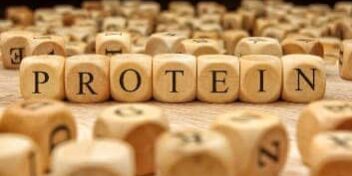 Bausteine stellen eine Aminosäurenkette dar.