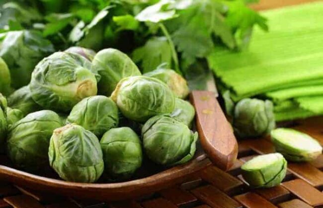 rosenkohl1 rosenkohl1