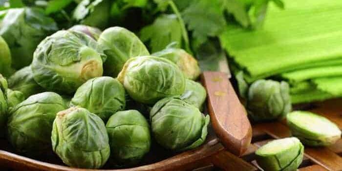 rosenkohl1 Gekochter Rosenkohl in Holzschale