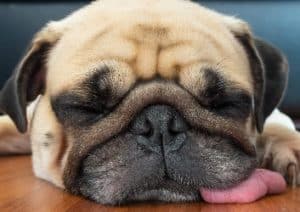 Für Schlafmangel gibt es viele anzeichen