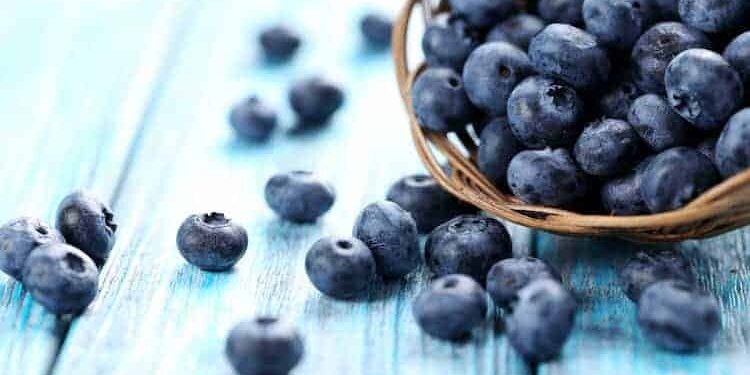 heidelbeeren in korb auf hellblauem tisch