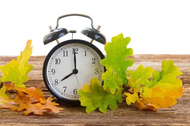 zeitumstellung auf winterzeit Wecker auf Holztisch mit buntem Herbstlaub