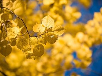 sonnenschein herbst vitamin d